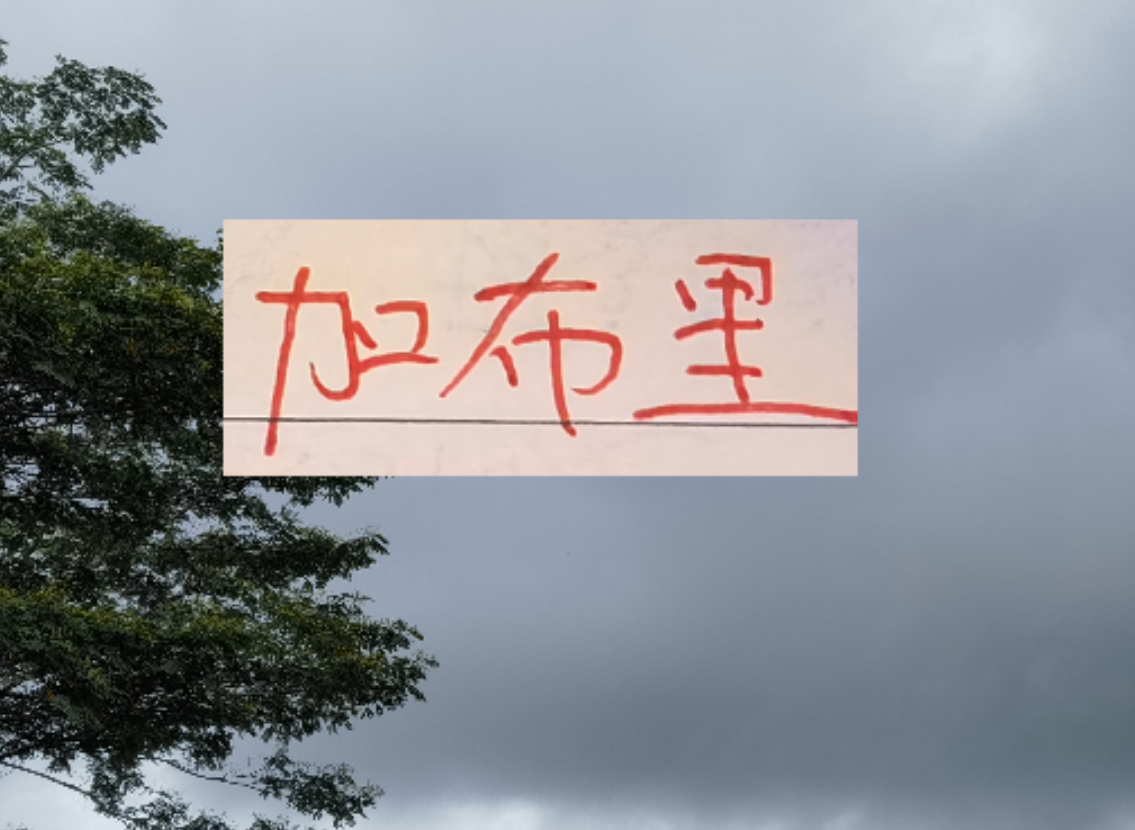 开云体育APP-是走还是留？ 海港加布里埃尔国内跟国外说法不一样